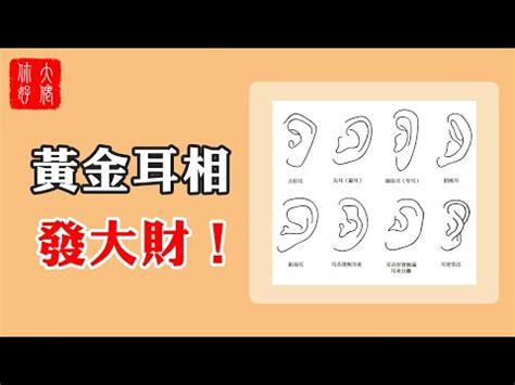 打 耳 洞|打耳洞沒煩惱！全方位解析穿洞前的五大考量，。